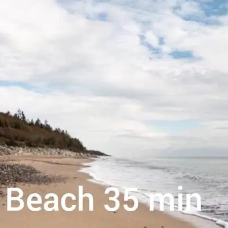 Woodleigh Happy House بيت ضيافة Carnew