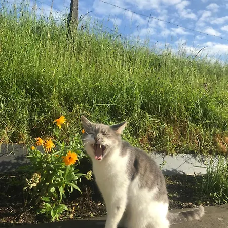 Woodleigh Happy House 3*