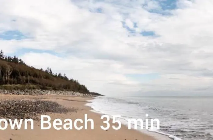 Woodleigh Happy House ゲストハウス Carnew