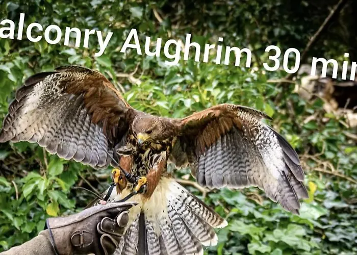 Woodleigh Happy House 3*